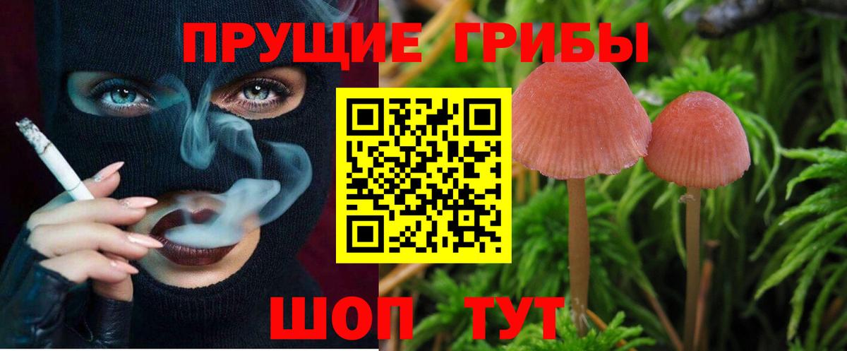 Кимры  Псилоцибиновые грибы Psilocybe  Вход с VPN 
